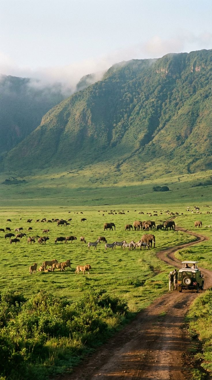 Ngorongoro Conservation Area