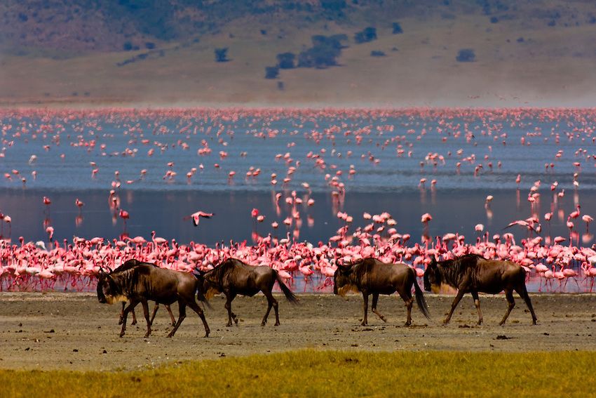 Maasai Mara National Reserve