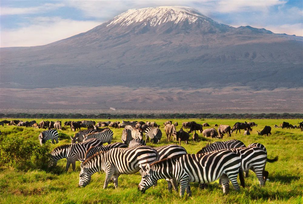 Maasai Mara National Reserve