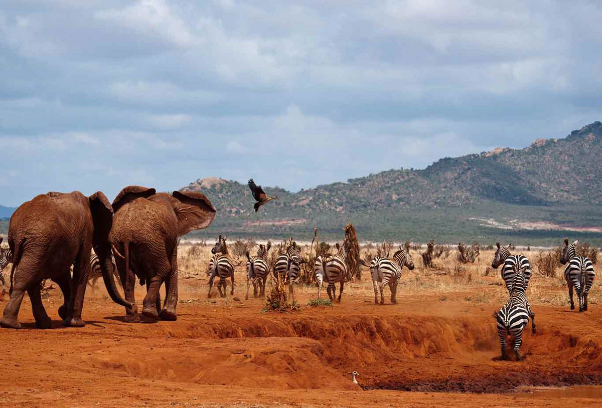 Maasai Mara National Reserve