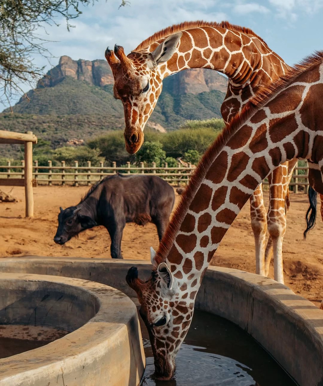 10-Day Best of Kenya Safari