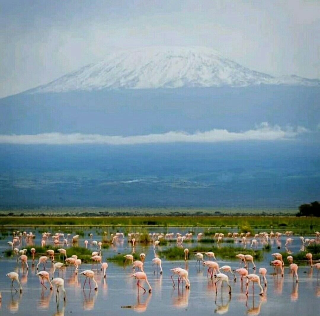 10-Day Best of Kenya Safari