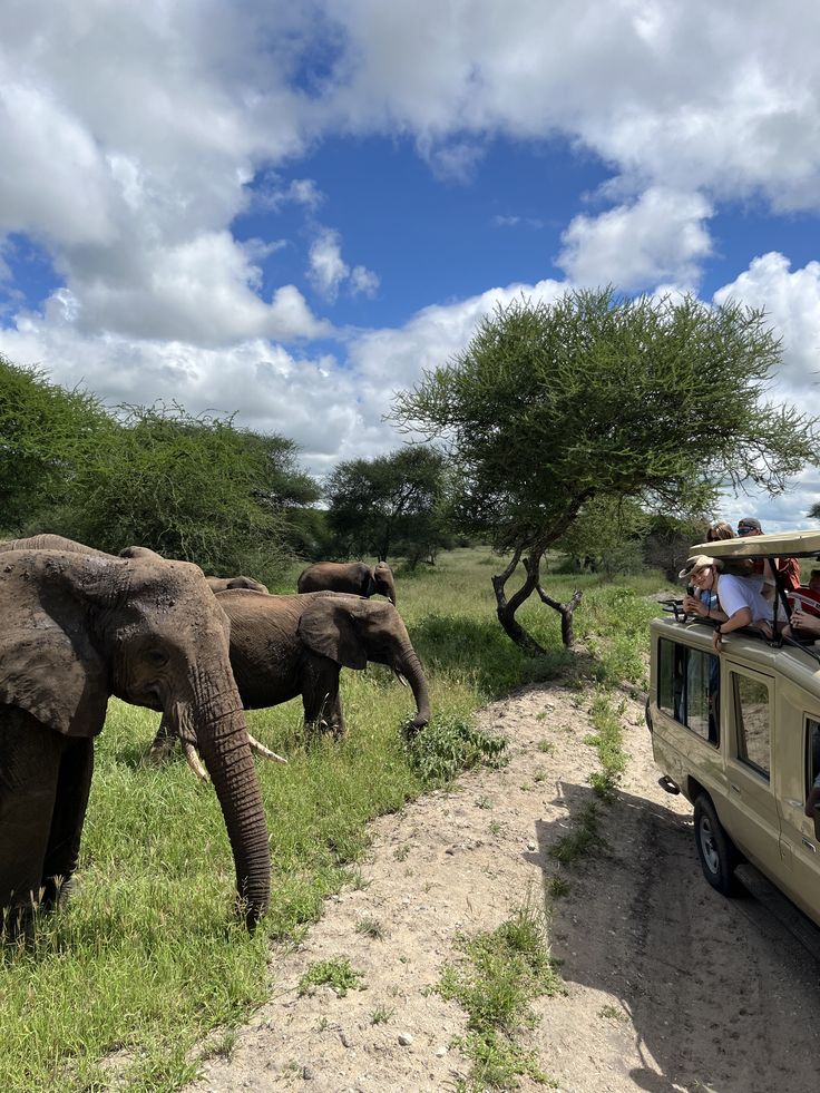 3-Day Maasai Mara & Lake Naivasha Budget Safari
