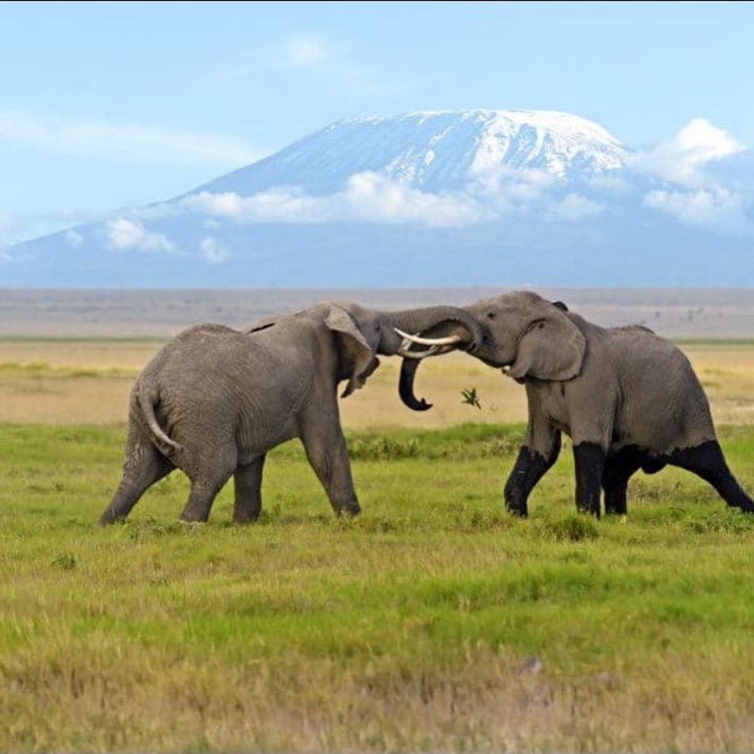 6-Day Private Safari in Kenya