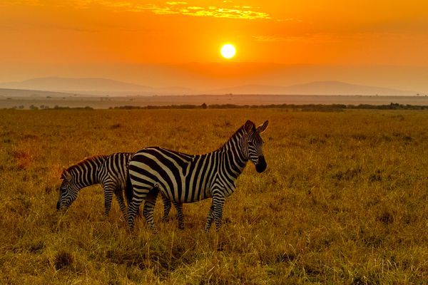Why Travel With Us