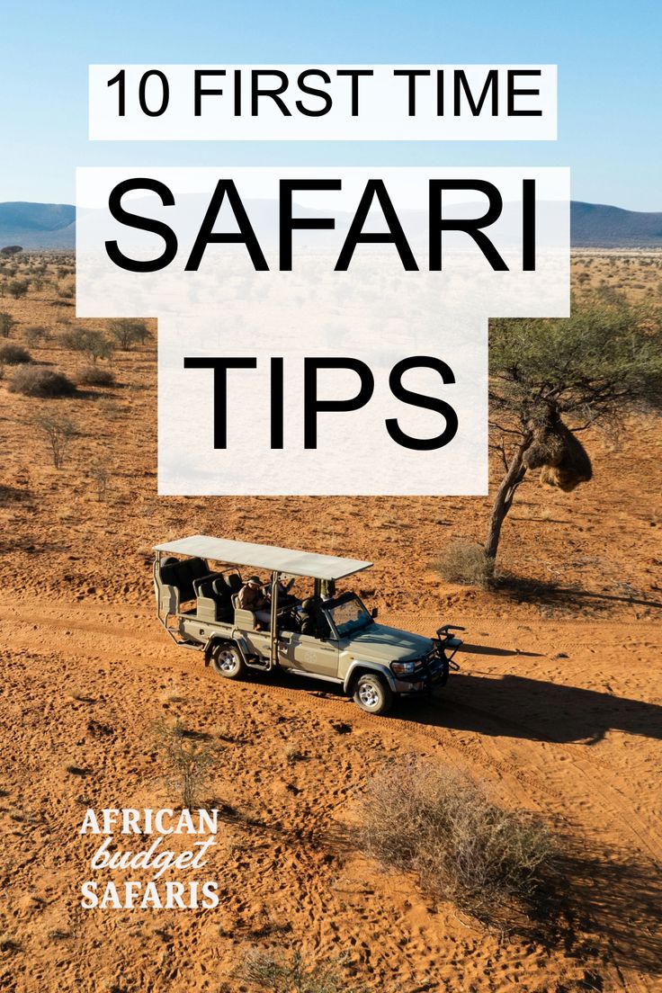 10 Essential Tips for Your First African Safari