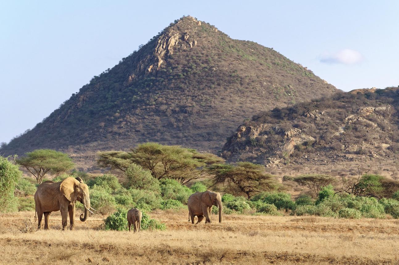 Samburu: Where Kenya’s Wild North Feels Completely Different