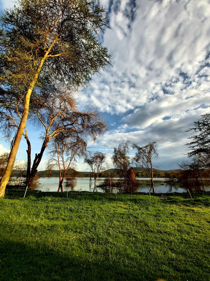 Lake Naivasha