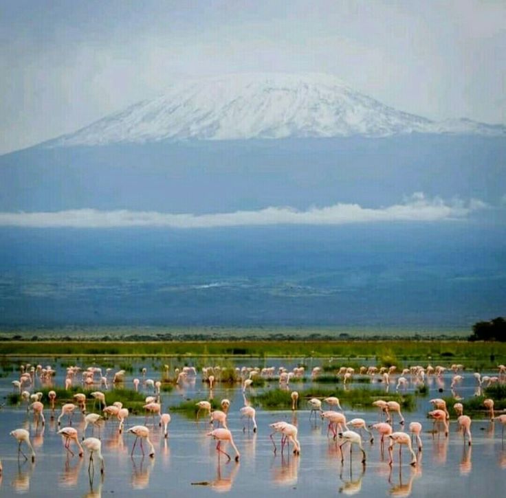 Amboseli National Park