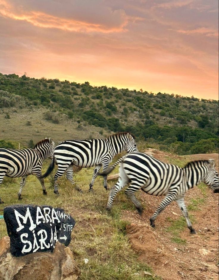 Maasai Mara National Reserve