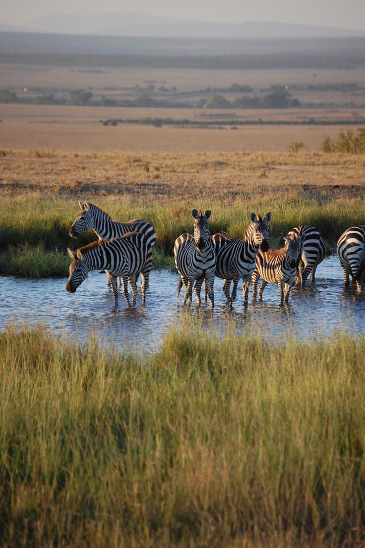 Maasai Mara National Reserve